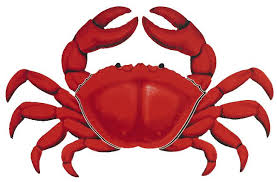 Crab Feed